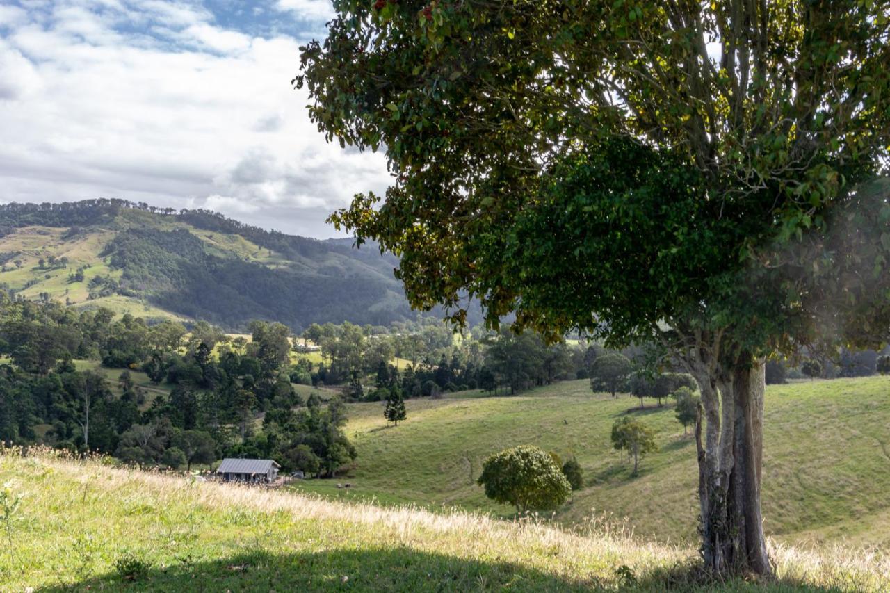 Country Mile Escape Guest House Canungra Exterior photo